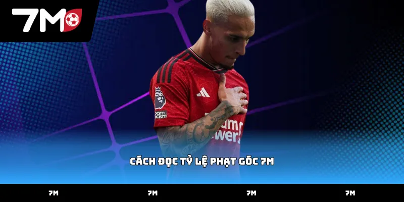 Phương pháp áp dụng cách đọc tỷ lệ phạt góc 7M hiệu quả nhất