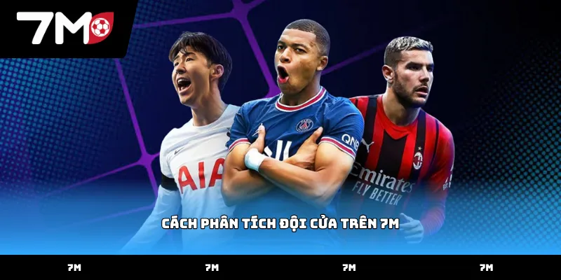 Quy trình thực hiện cách phân tích đội cửa trên 7M hiệu quả
